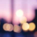 バラのタトゥー – Rose Tattoo