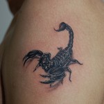 サソリのタトゥー,Scorpion Tattoo