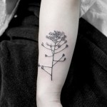 ナズナの花タトゥー – shepherd’s purse,Flower Tattoo