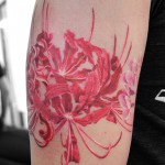 彼岸花のタトゥー – Cluster amaryllis,Flower Tattoo