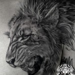 ライオンのブラック&グレータトゥー – Lion Tattoo