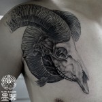 スカル羊のタトゥー – Sheep Skull Tattoo