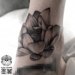 蓮のブラック&グレータトゥー – Lotus,Black and gray Tattoo