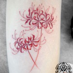 彼岸花のタトゥー – Cluster amaryllis Tattoo