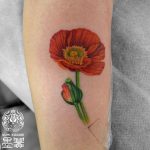 ケシの花タトゥー – Opium poppy Flower Tattoo